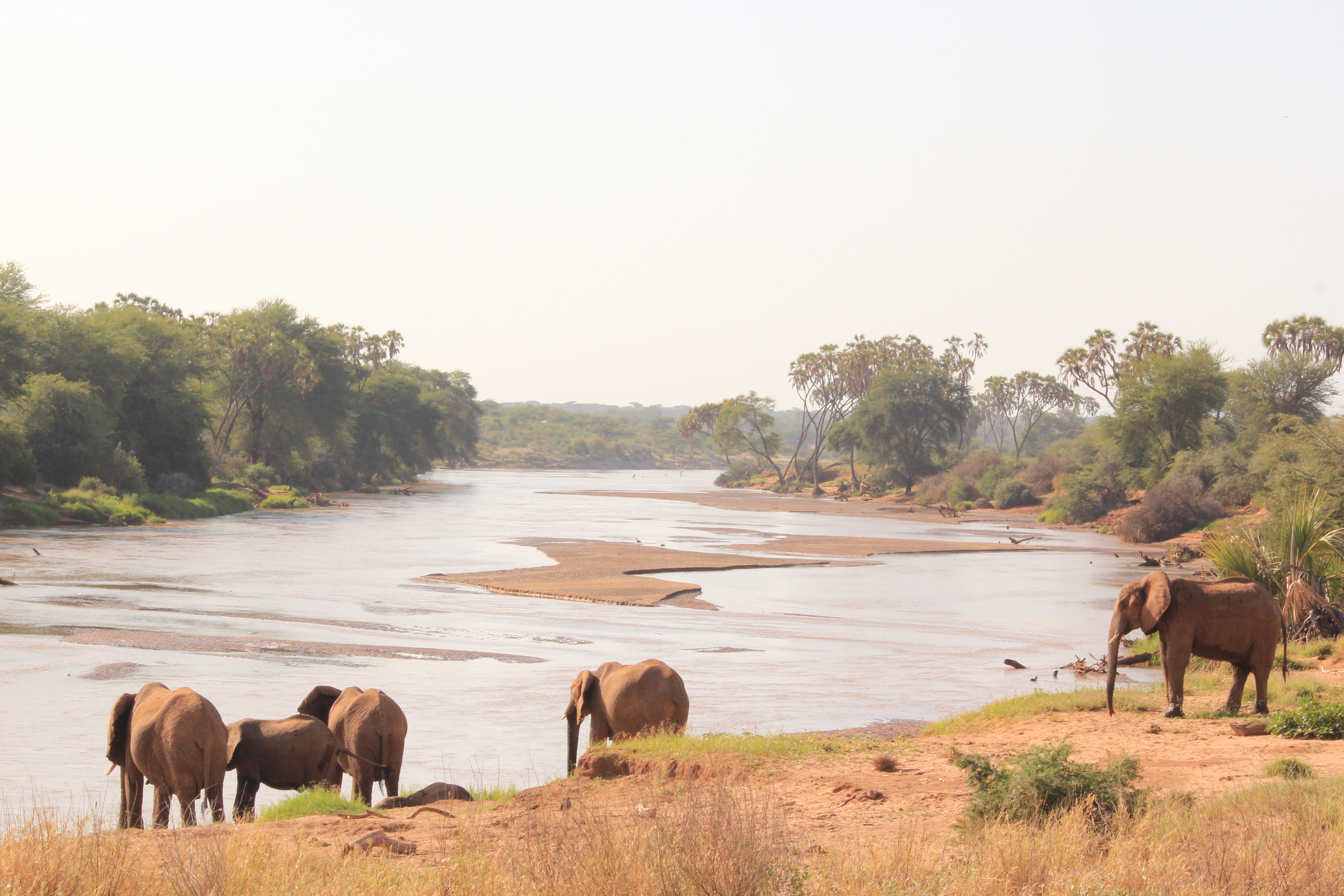 8 Days Samburu, Lake Baringo,& Maasai Mara Safari