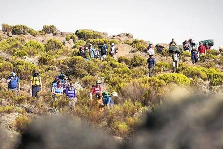 Kenya Mountain Climbing Safaris