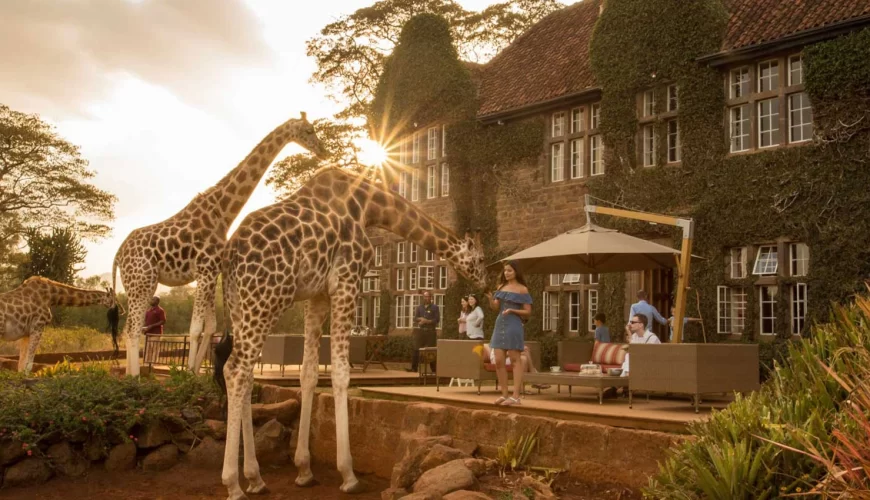 Giraffe Manor
