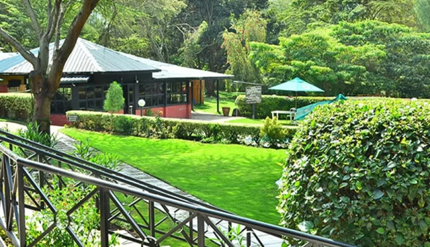 Fish Eagle Inn and Campsite