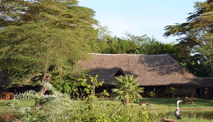 Ndolwa House