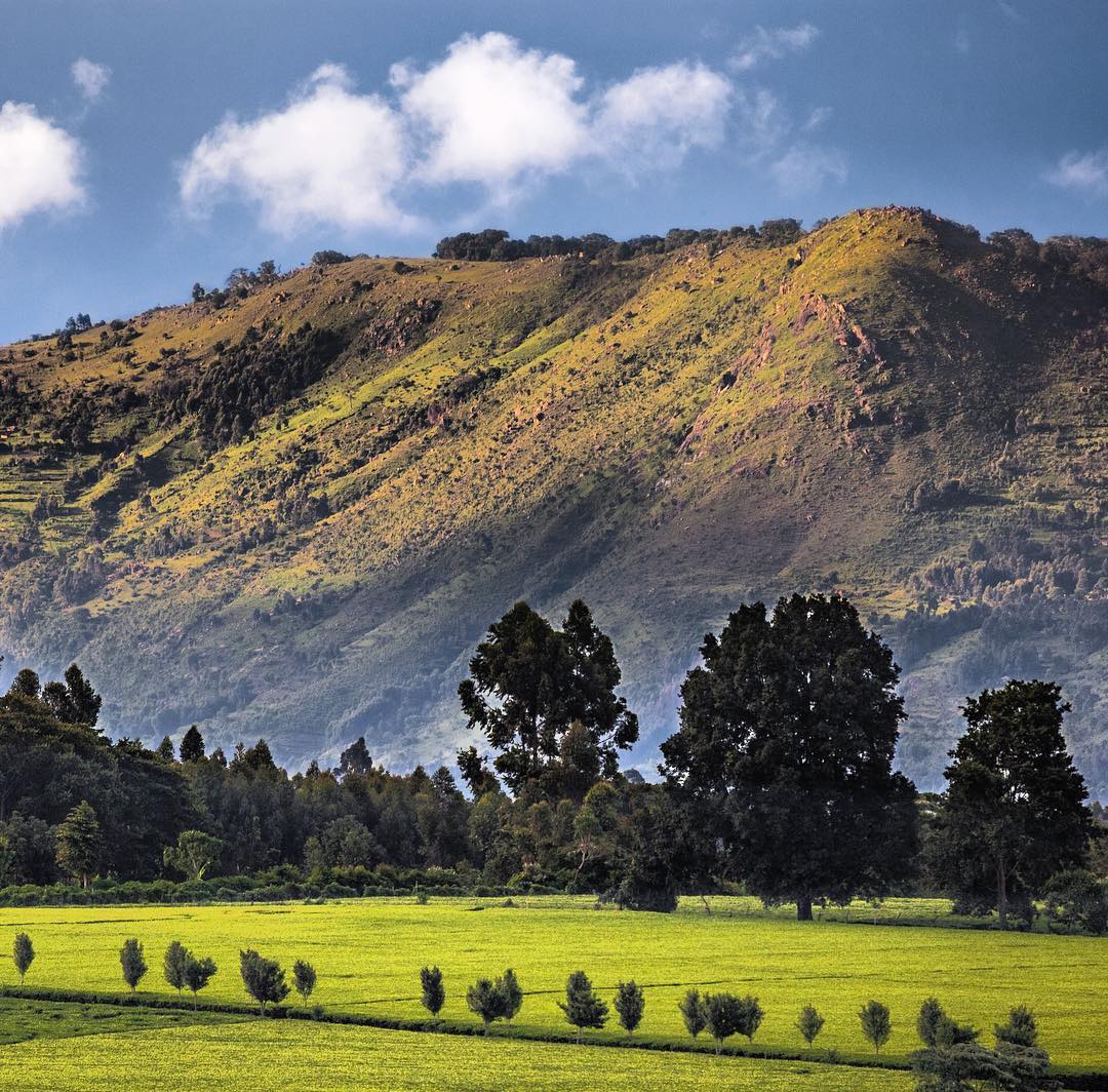 Western Highlands Kenya image 4