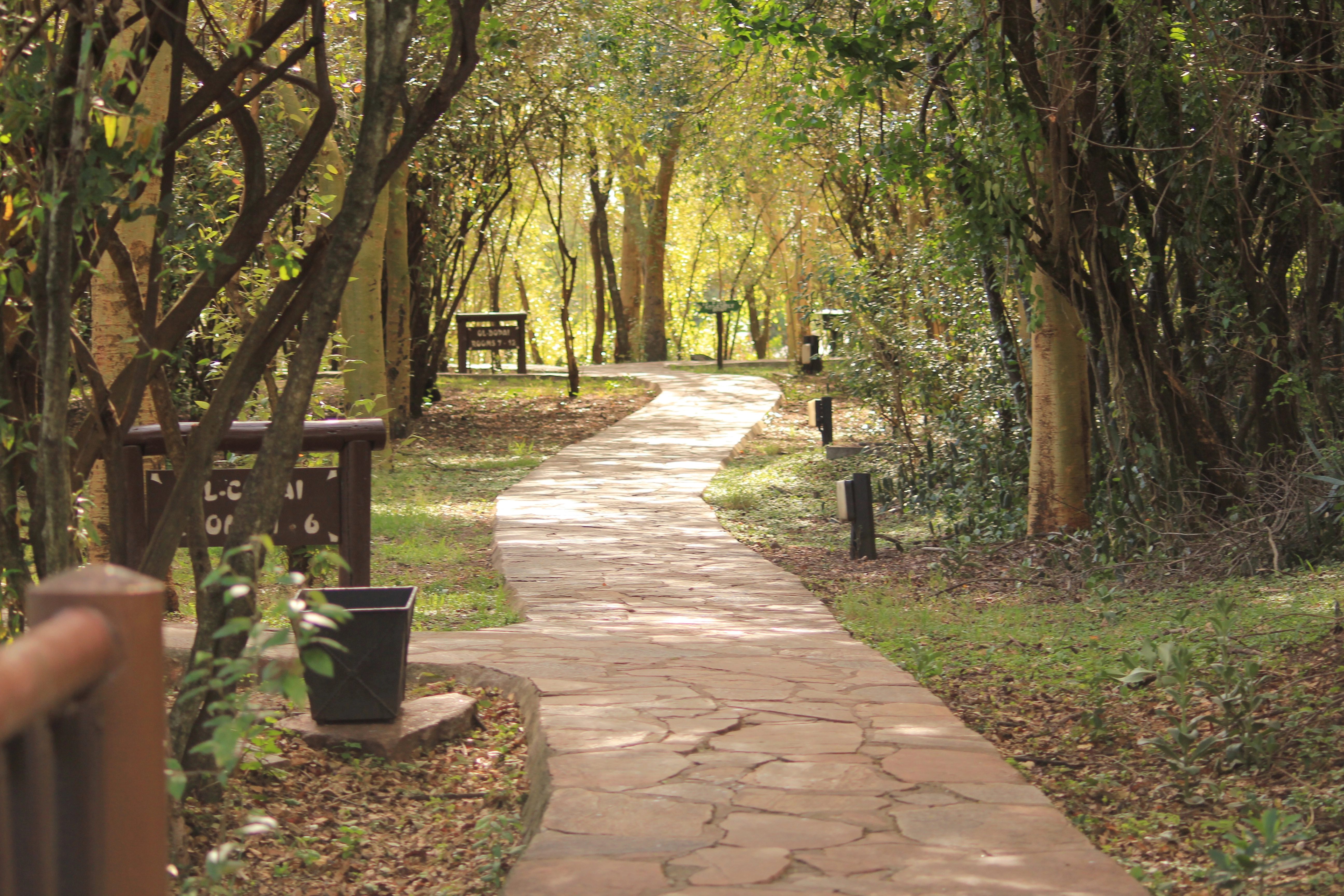 13 Days Tanzania Family Safari