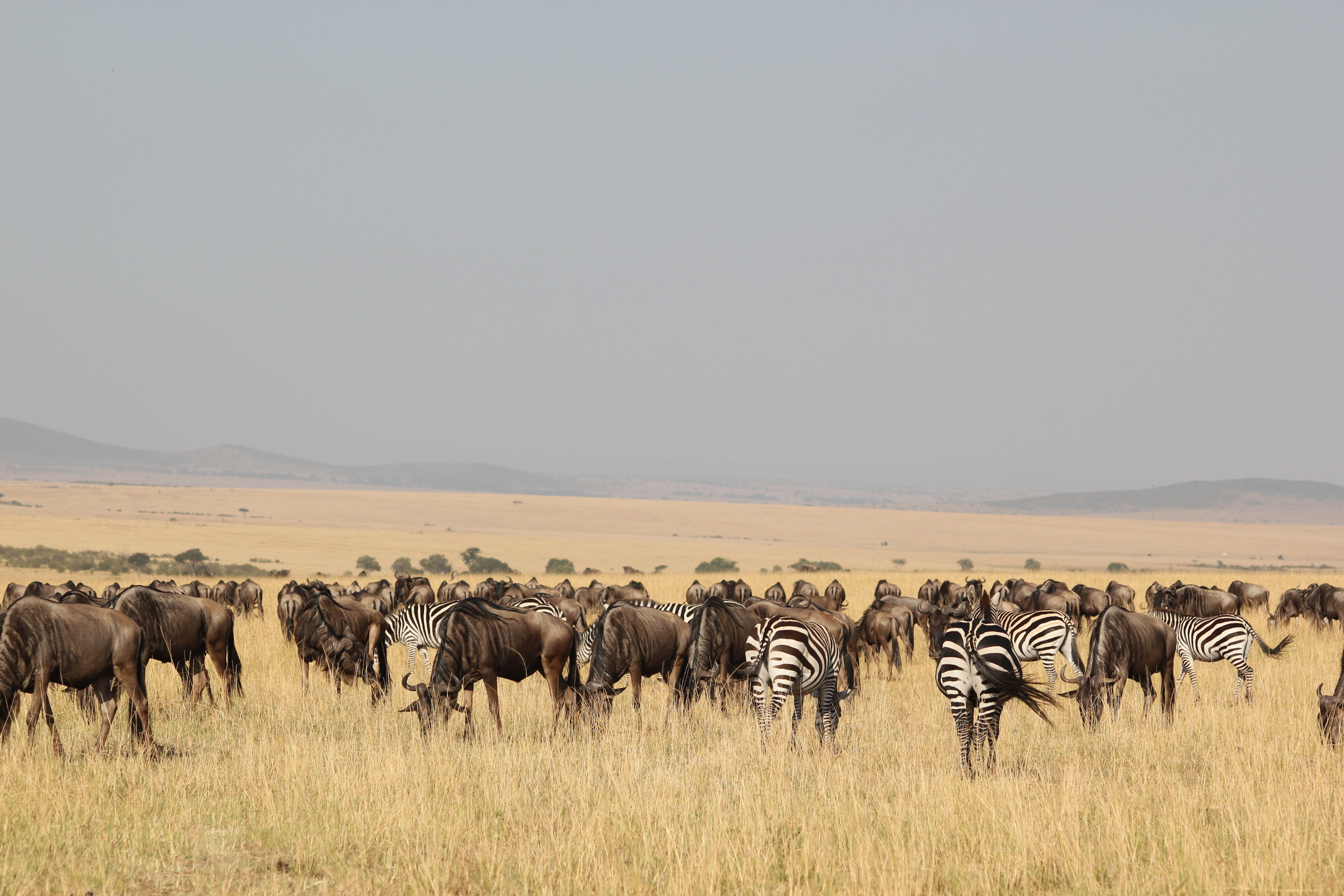 7 Days Tanzania Cultural Tour Bushmen Land