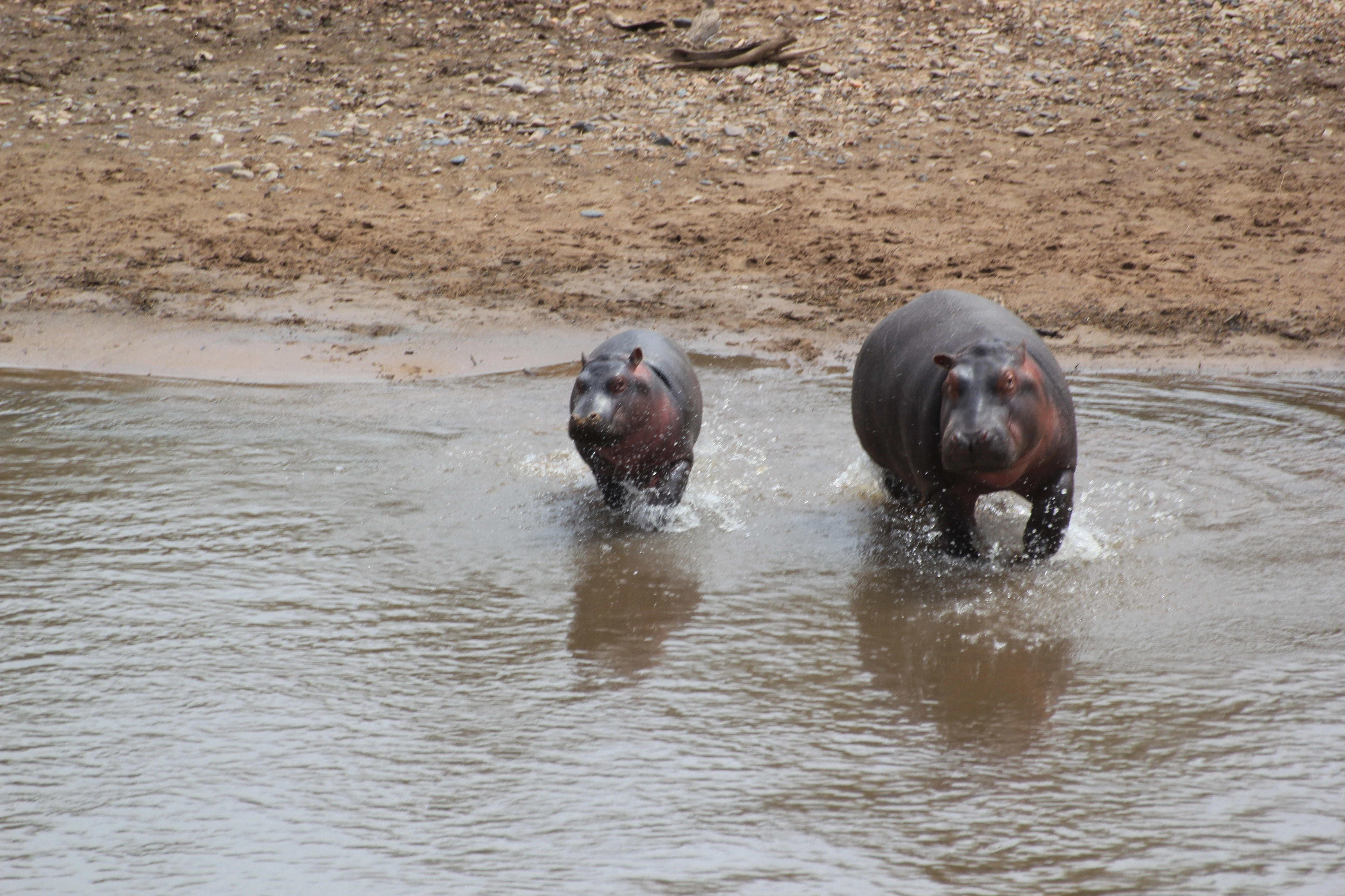 6 Days Tanzania Beyond Safari