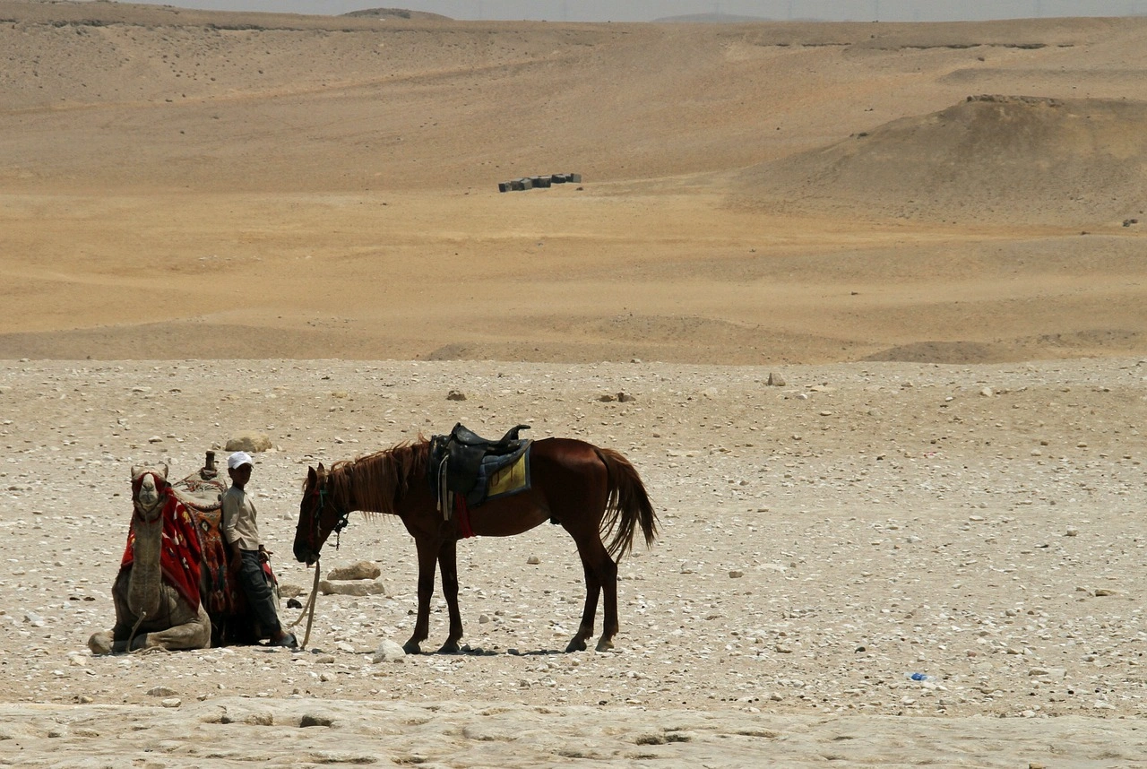 7 Days Cairo & Sharm El Sheikh & St. Catharine & Taba