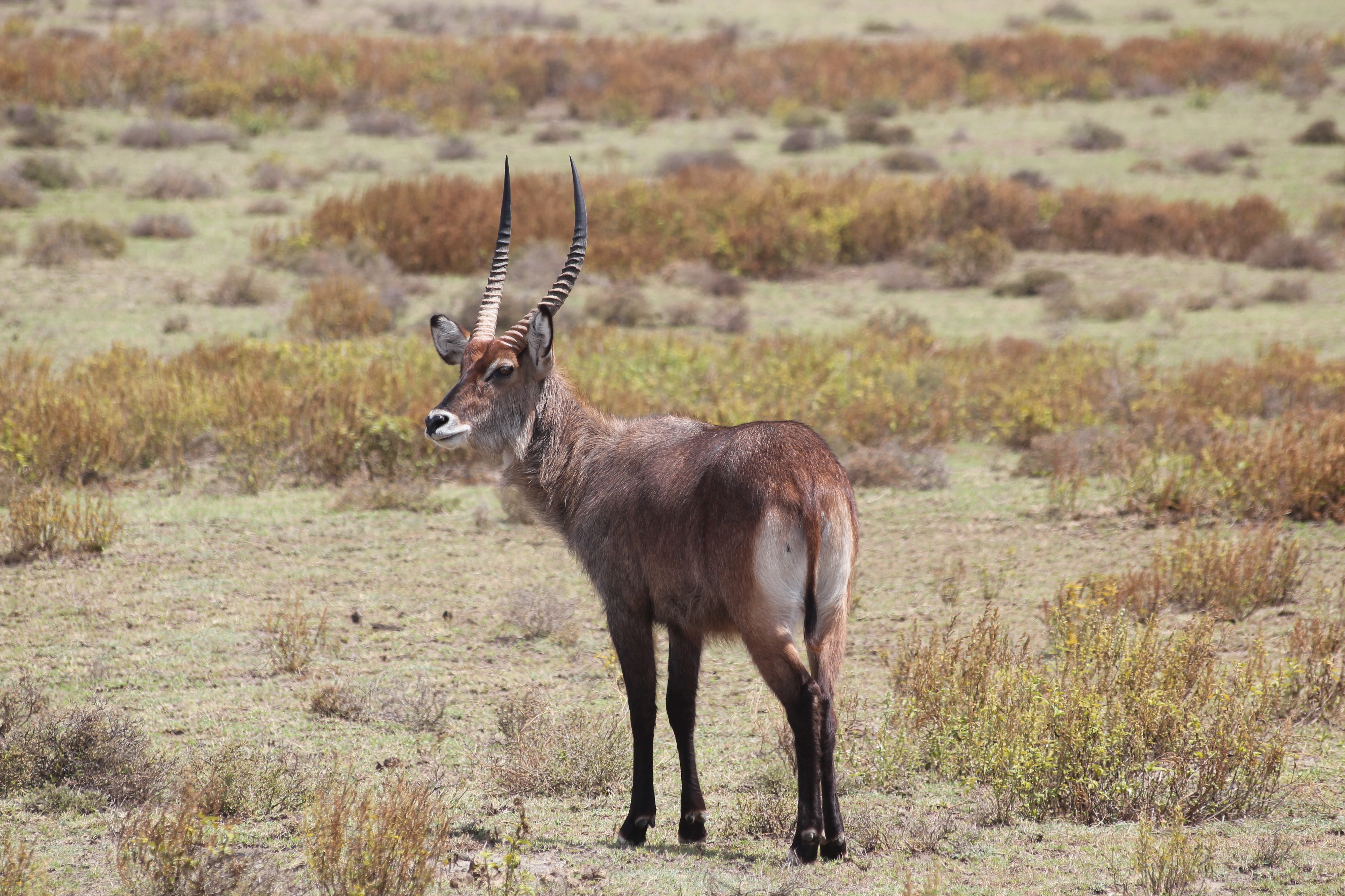 Kenya, Tanzania & Zanzibar Beach Safari (17 Days)