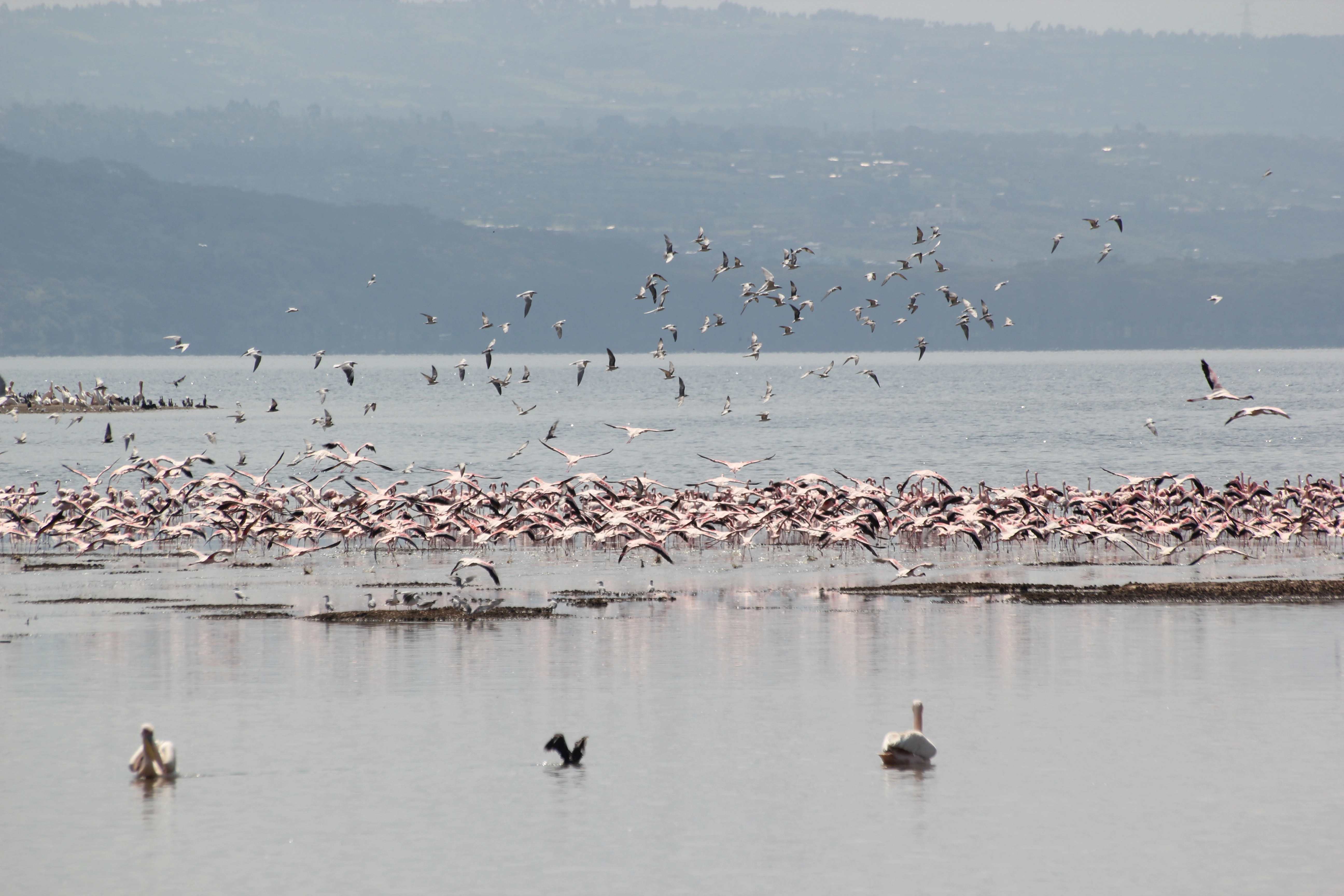 Kenya, Tanzania & Zanzibar Beach Safari (17 Days)