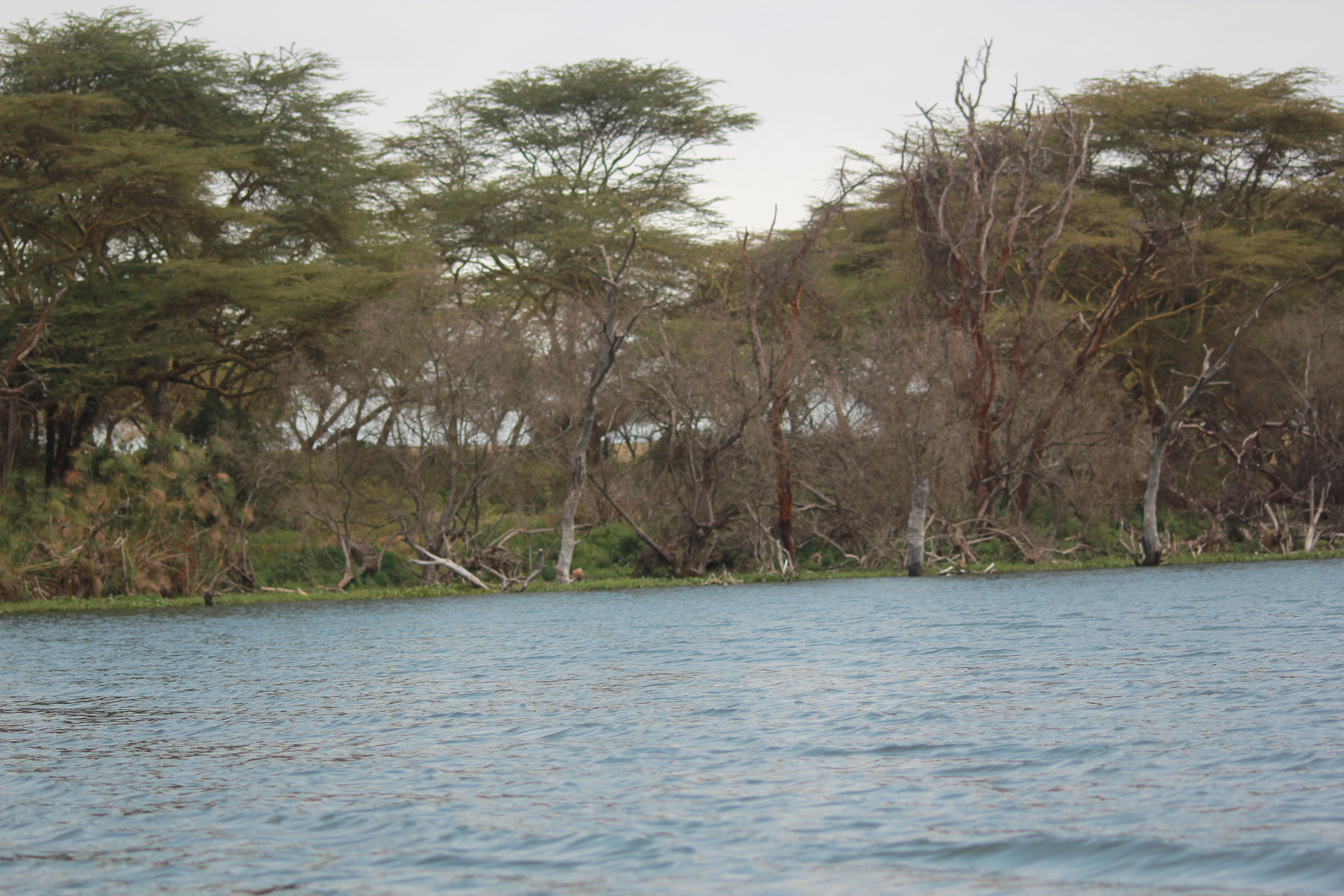 Kenya, Tanzania & Zanzibar Beach Safari (17 Days)