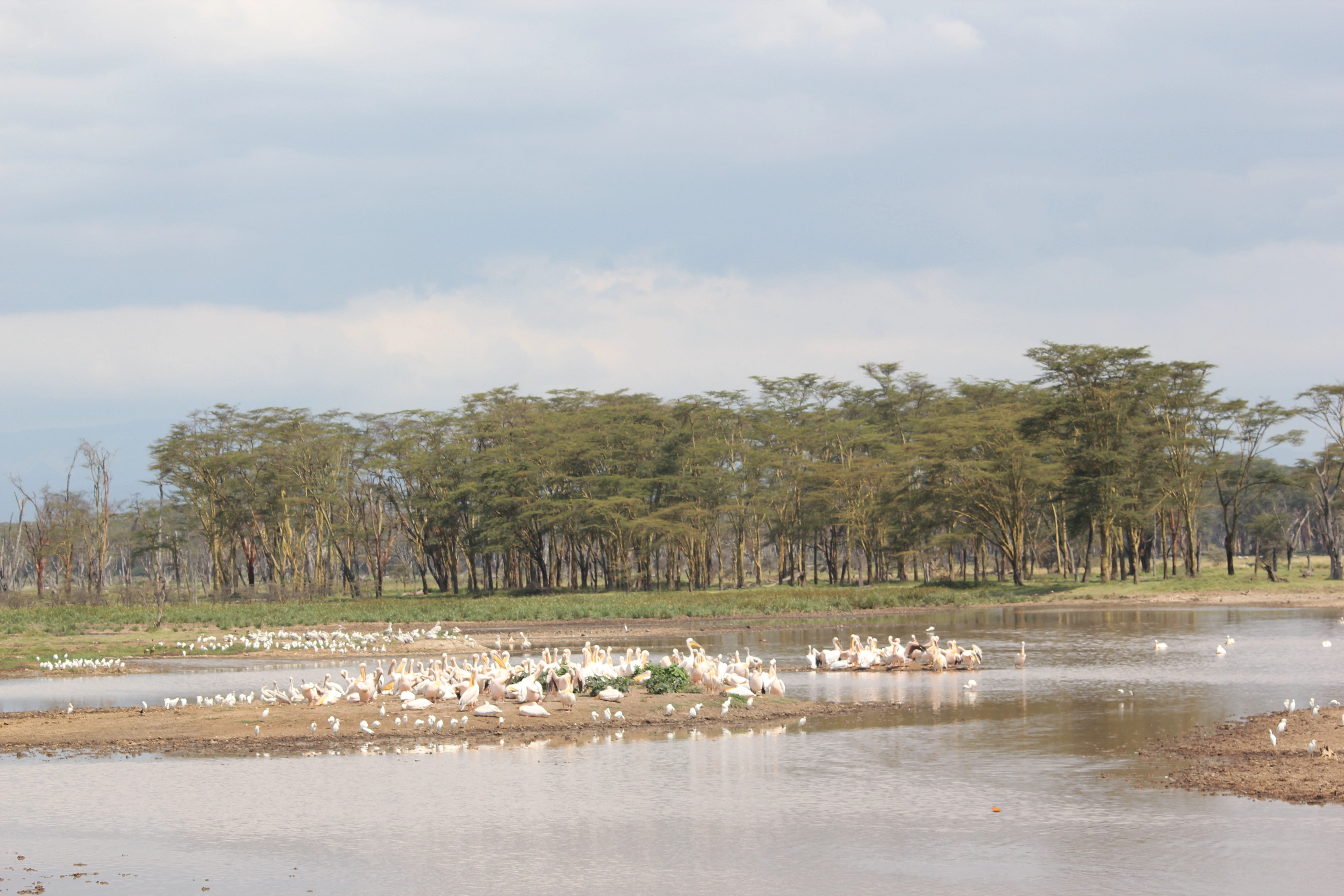 Kenya & Tanzania Safari (13 Days)