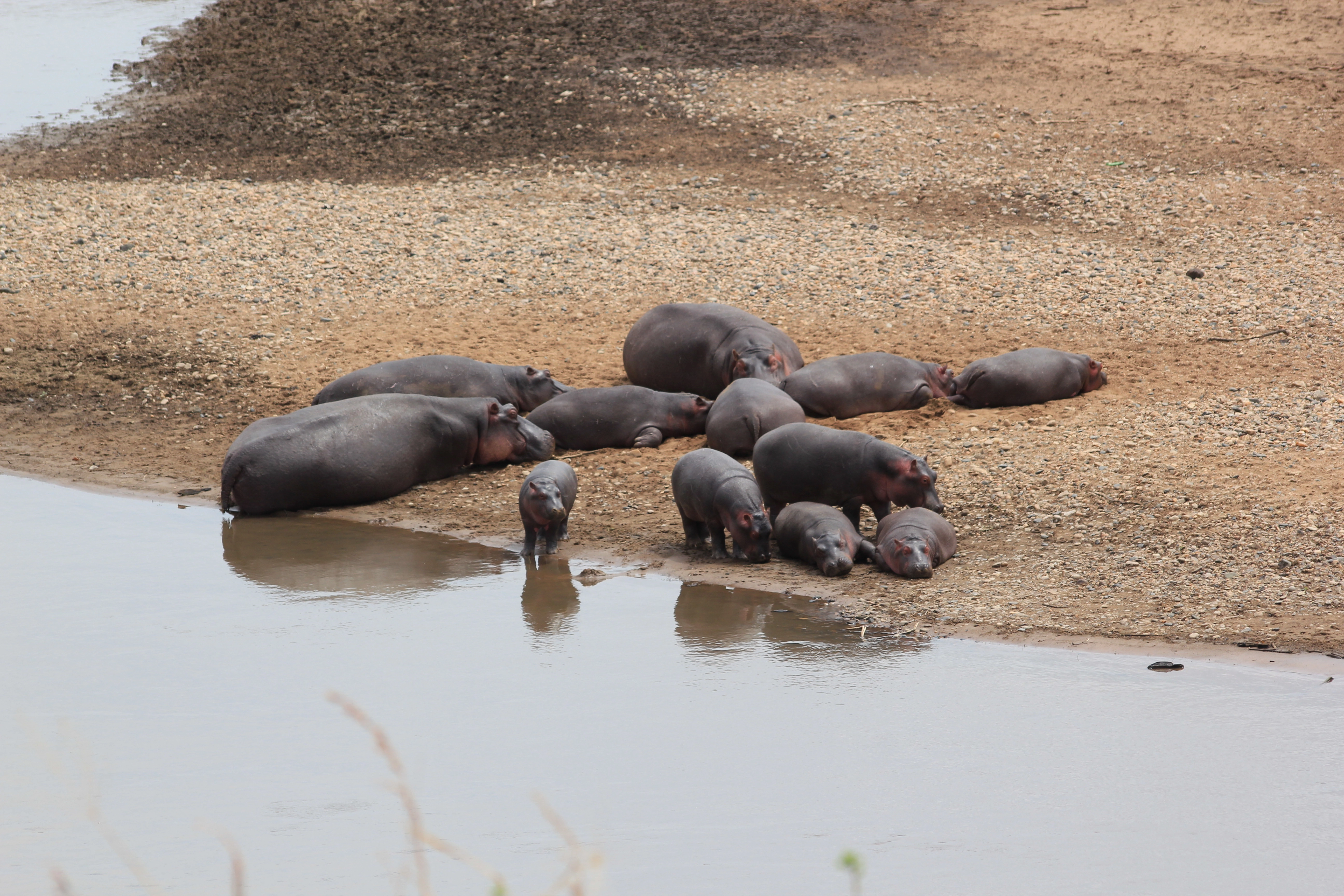 Safari Mpaka (6 Days)