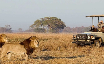 Murchison Falls - Kibale Forest - QE & Lake Mburo (7 Days)