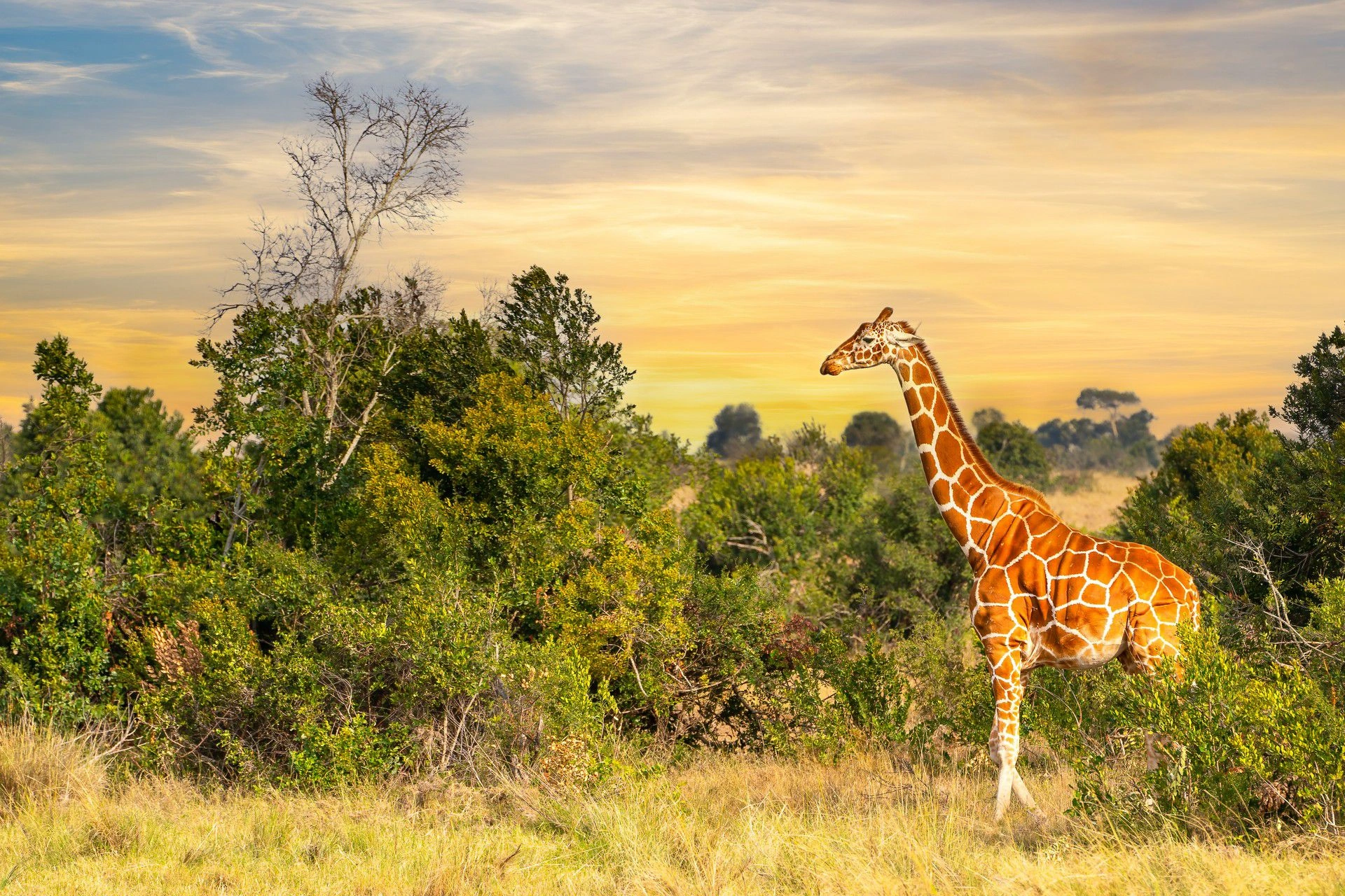3 Days Laikipia Eco Tour
