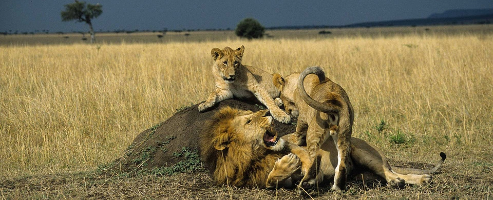 3 Days Laikipia Eco Tour