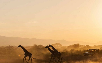 4 Days Kenya Masai Mara Budget Safari