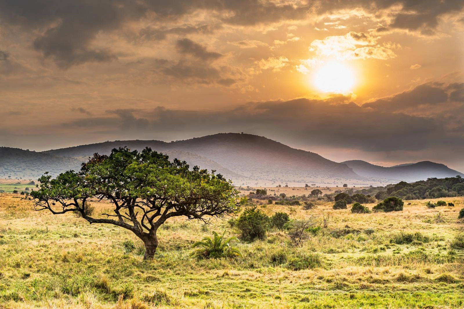 4 Days Kenya Masai Mara Budget Safari