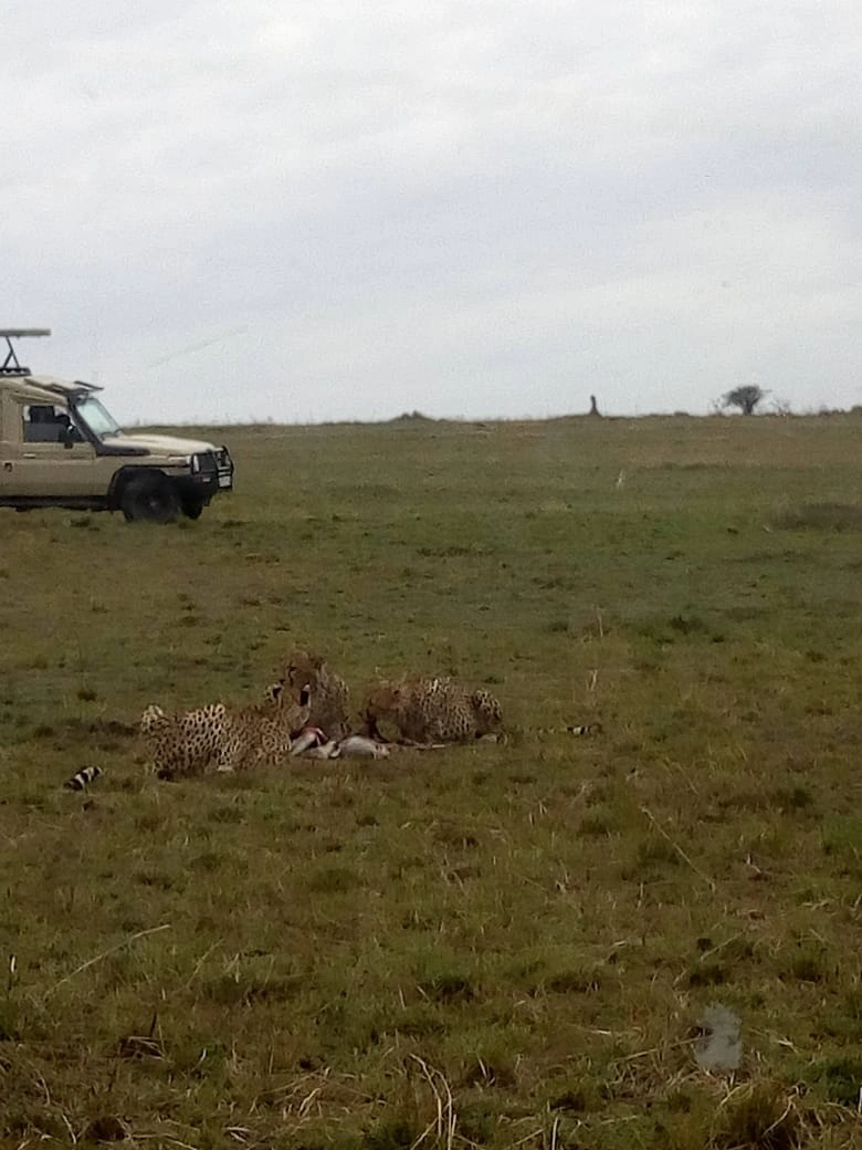 8 Days Safari Chui Kenya