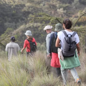 14 Days Mount Kenya Climbing & Safari