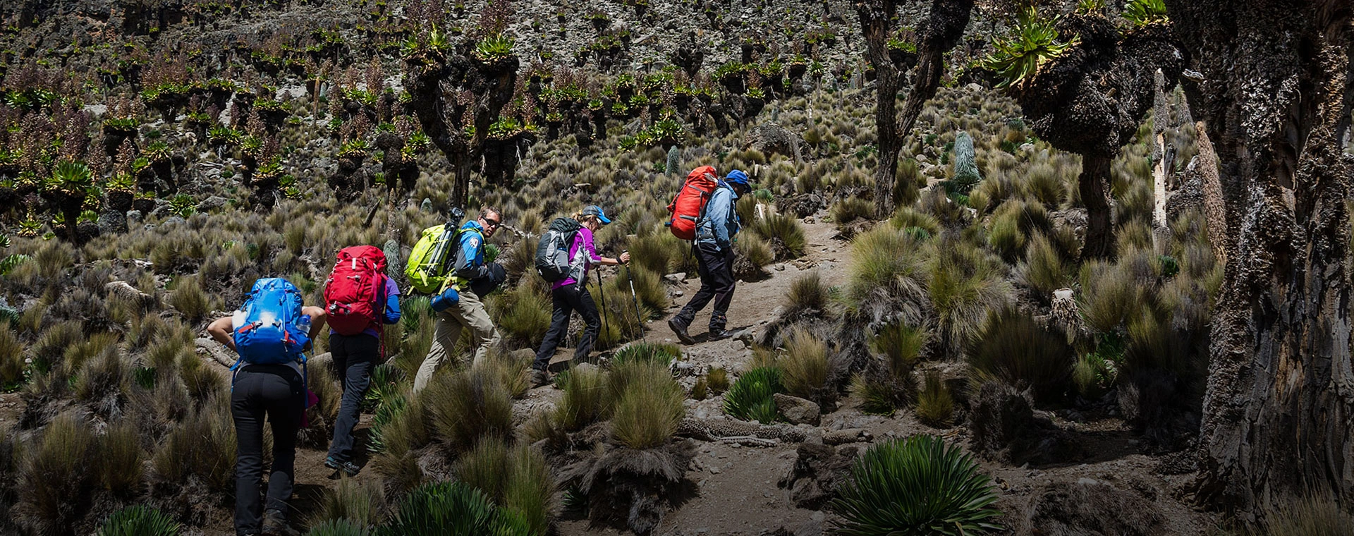 14 Days Mount Kenya Climbing & Safari