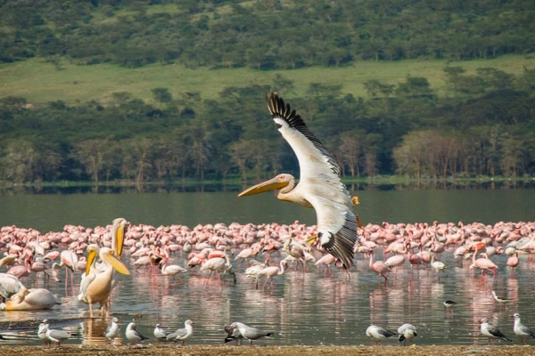 7 Days Great Rift Valley Bike Trek