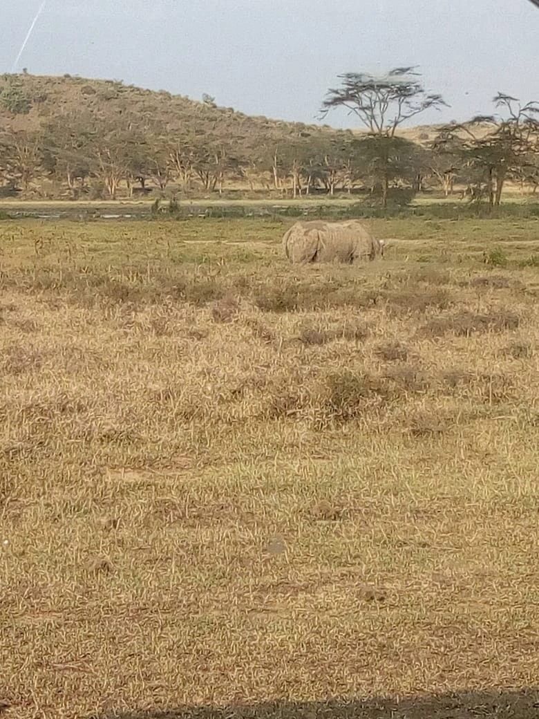 Highlights of Tanzania