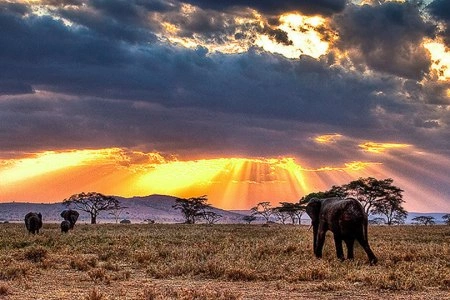 Ngorongoro Extension (2 Nights)