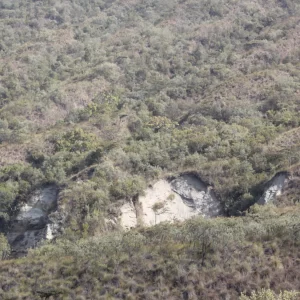 Kilimanjaro Climb Program - Lemosho Route
