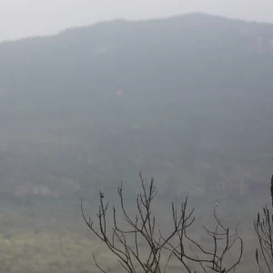 Kilimanjaro Climb Program - Lemosho Route