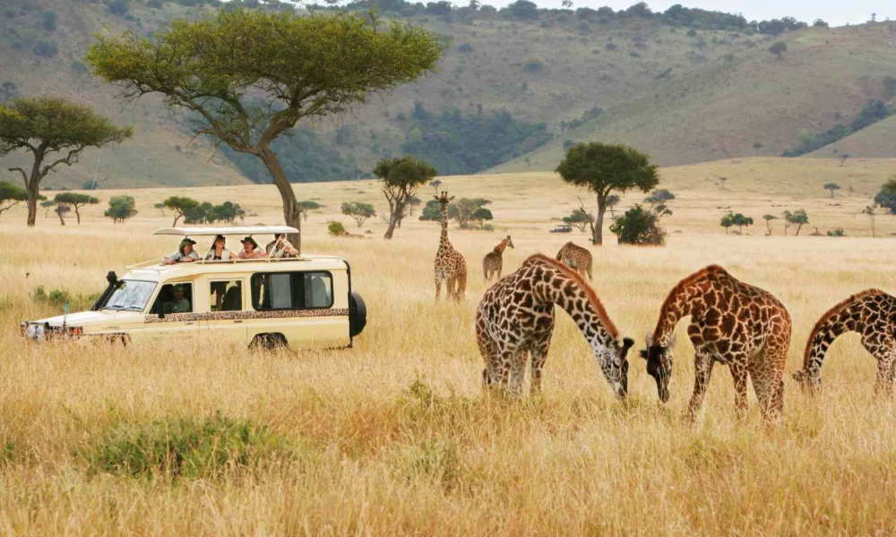 Ndege Tanzania (8 Days)