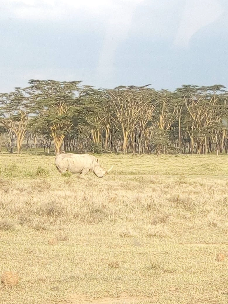 Safari Ol Lentille (8 Days)