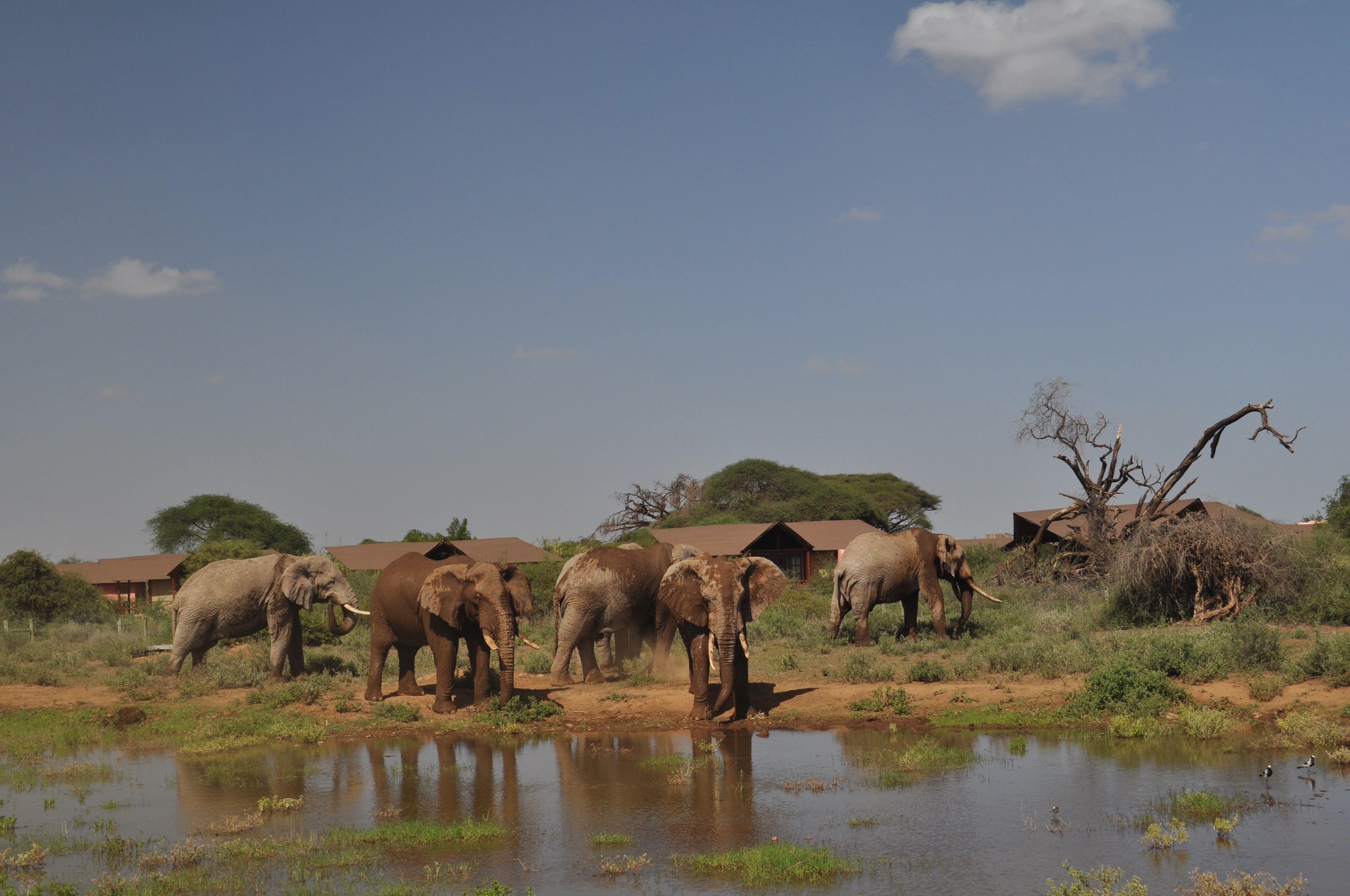 Safari Ilmoran (7 Days)