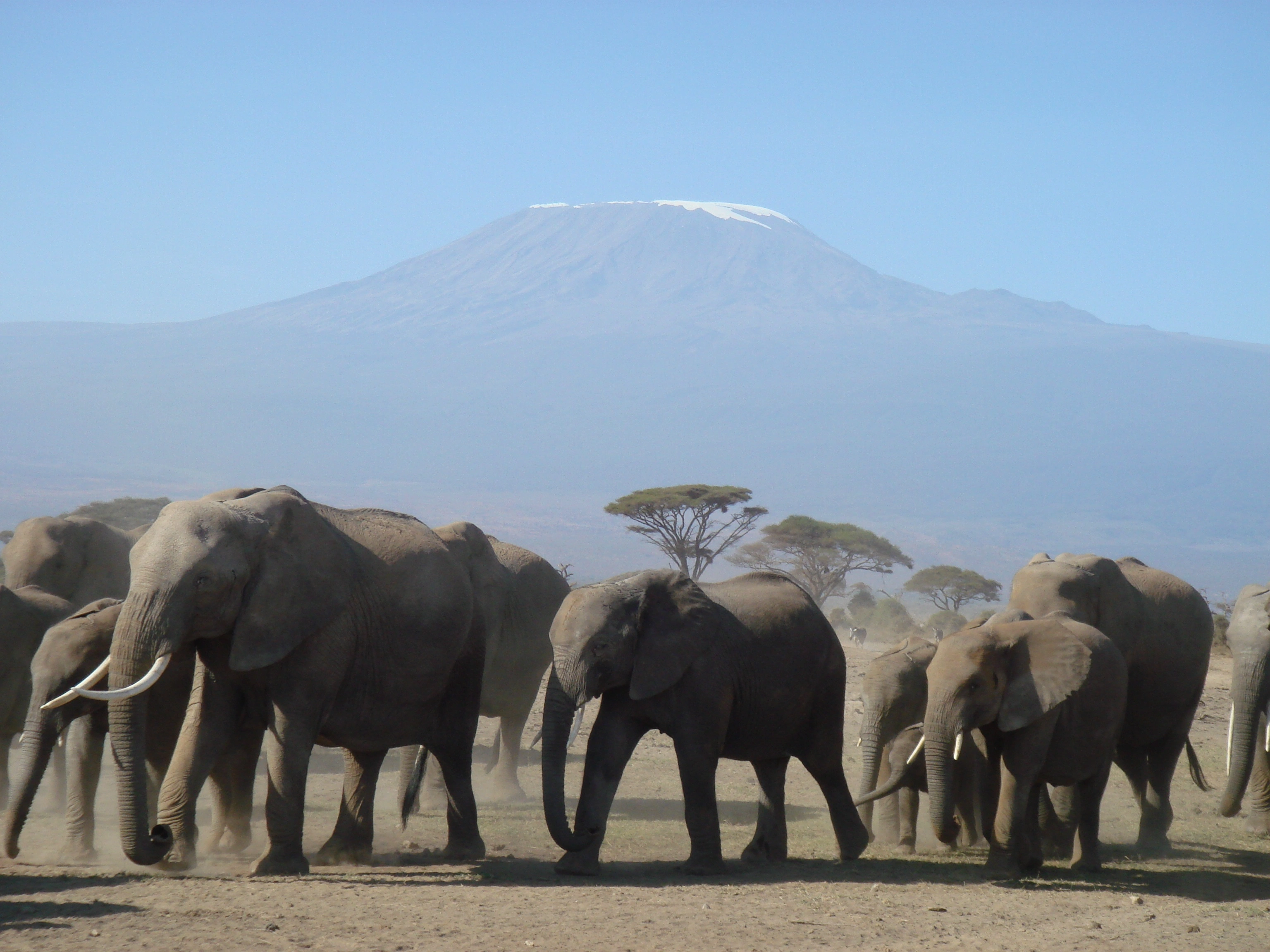 Safari Shaba (9 Days)