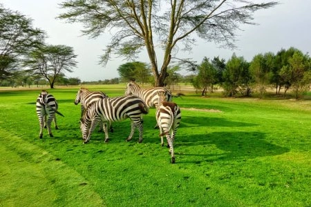 8 Days Samburu, Lake Baringo,& Maasai Mara Safari