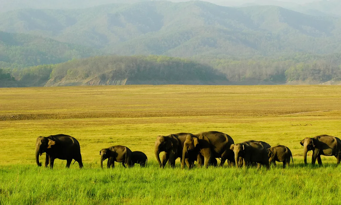 Liuwa Plain National Park image 2