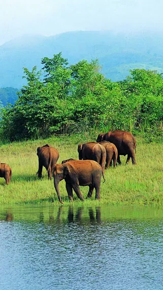 Liuwa Plain National Park image 4