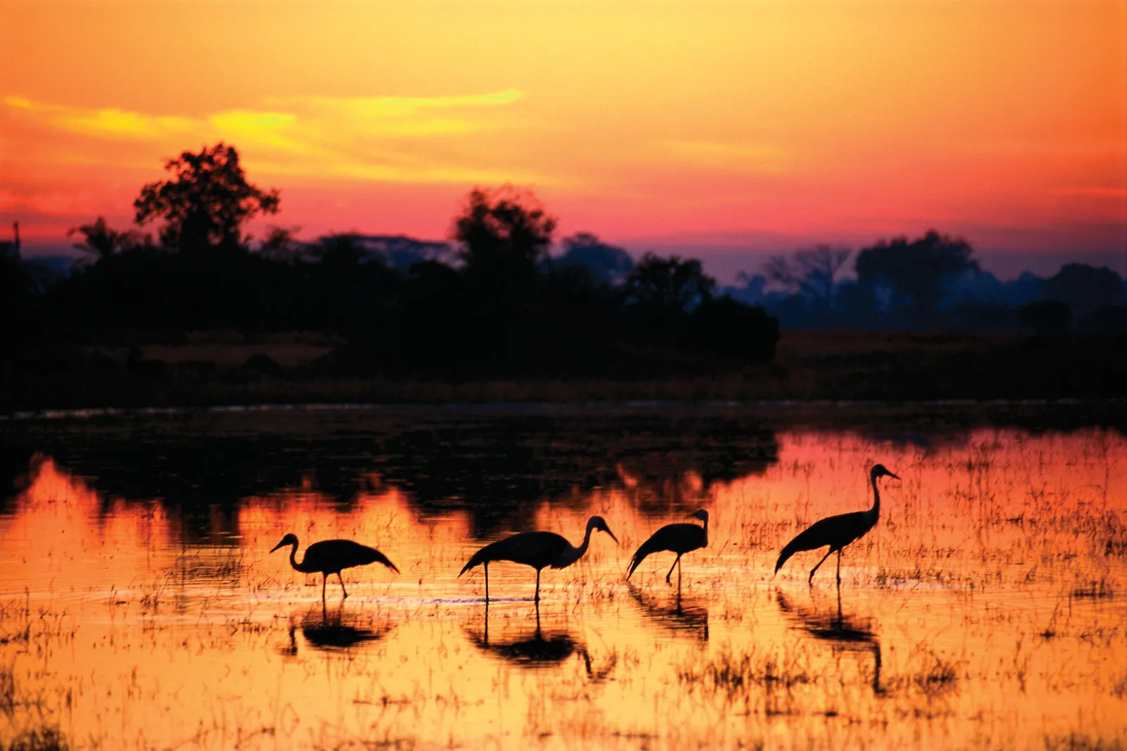 Kafue National Park image 3