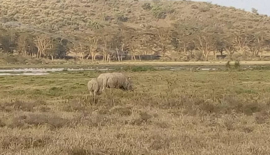 8 Days Across Kenya