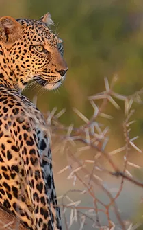 9 Days Kenya Family Holidays Safari