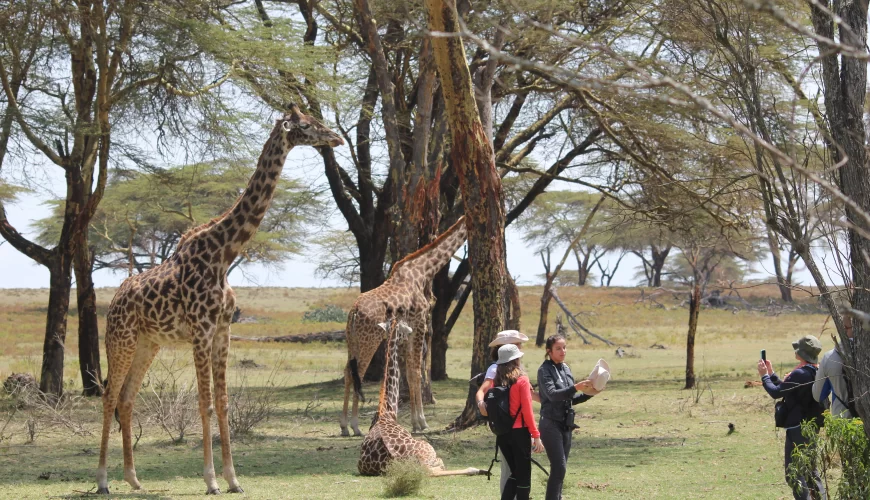 17 Days Kenya & Tanzania