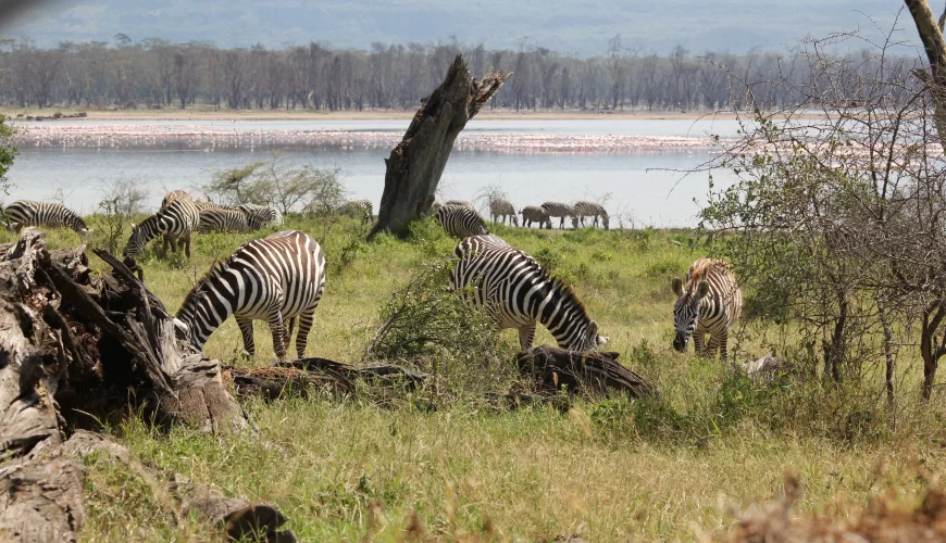 7 Days Tanzania Cultural Tour Bushmen Land