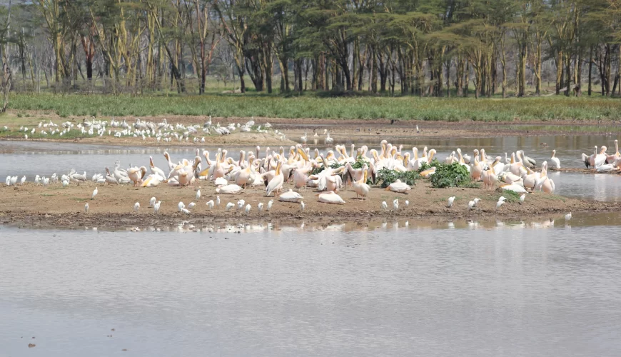 Kenya, Tanzania & Zanzibar Beach Safari (17 Days)