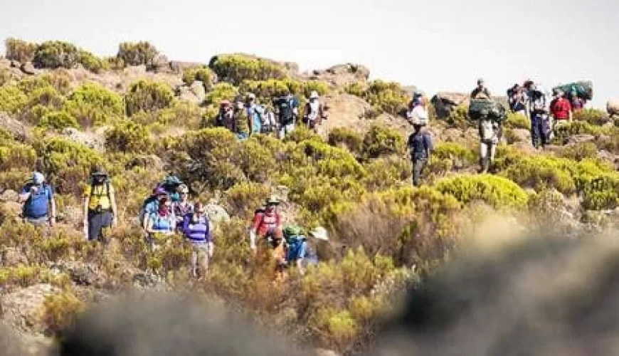 14 Days Mount Kenya Climbing & Safari