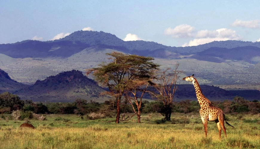 Chyulu Hills National Park