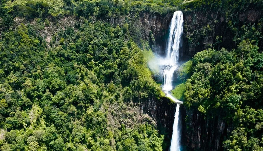 Aberdare National Park