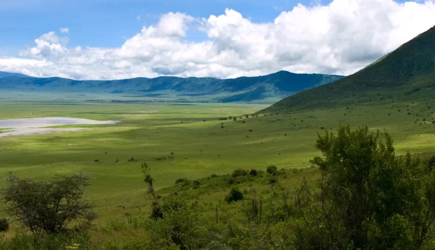 Nyerere National Park