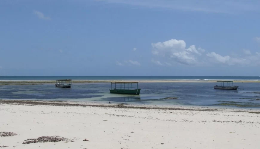 Malindi Marine National Park