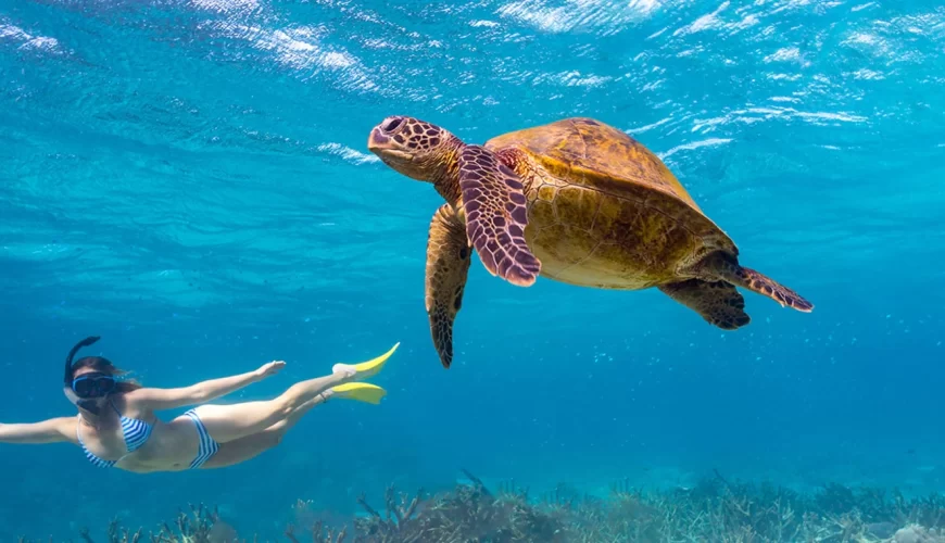 Kisite Mpunguti Marine National Park