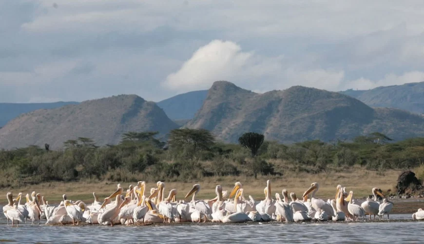 Lake Elementaita