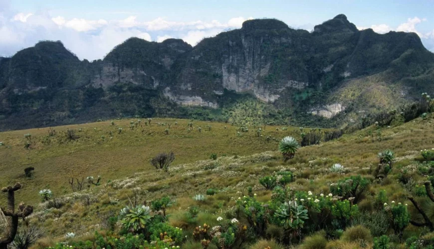 Arabuko Sokoke National Park