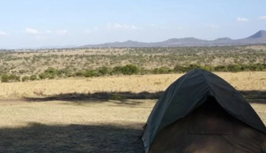 Lobo Camp
